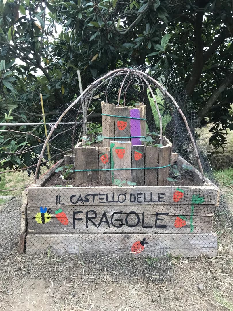 Cartello Fragole