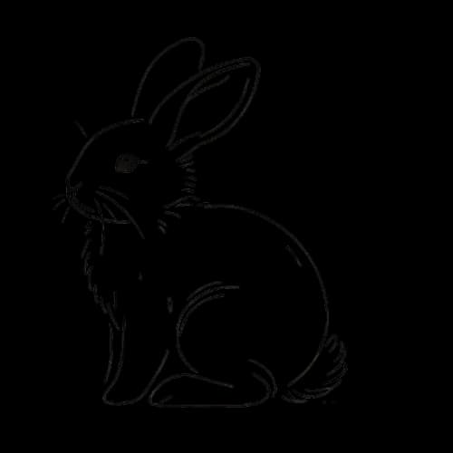 Disegno di un coniglio